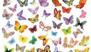 免费的矢量集的蝴蝶装饰