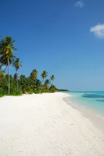 棕榈树的海滩天堂 棕榈树的海滩天堂