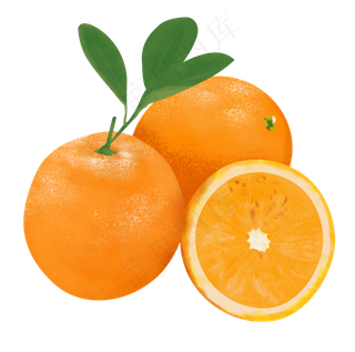 橙子手绘png下载橙子手绘png下载