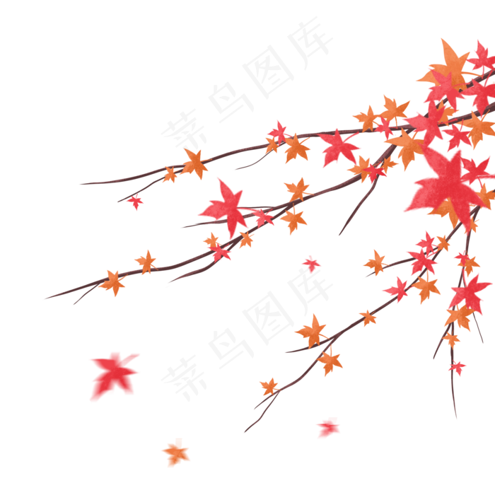 古风唯美秋天枫叶树枝插画