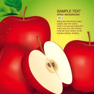 矢量有机食品backgorunds...