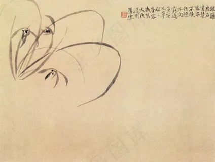 写意兰草 写意兰草