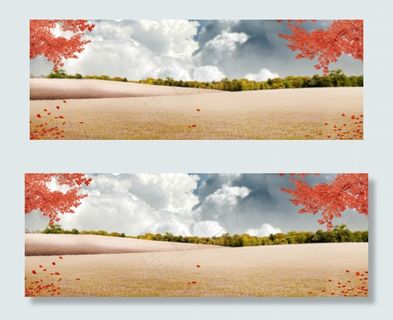秋季枫叶风景背景banner　