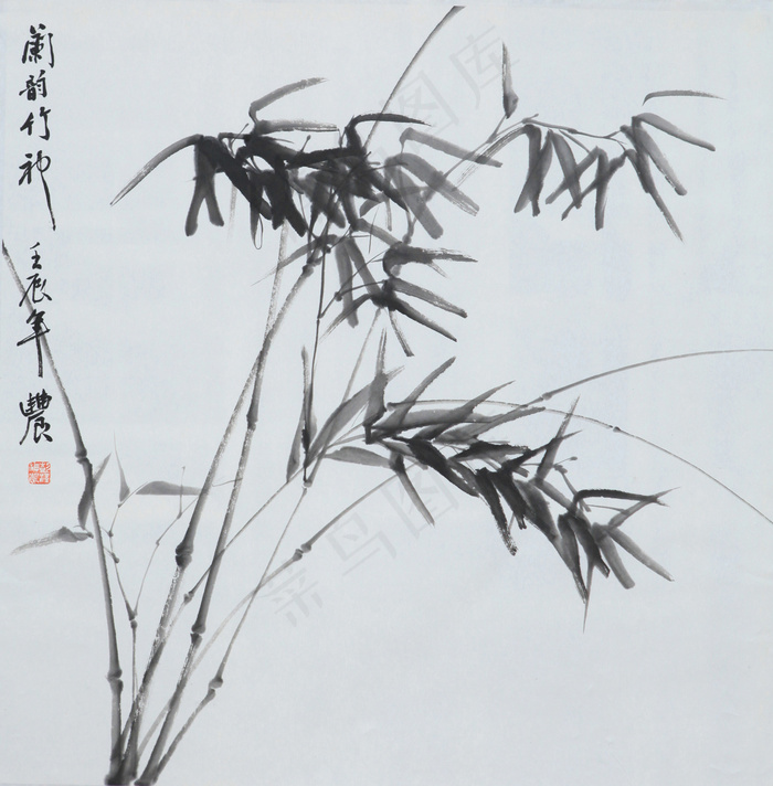 斗方竹图片