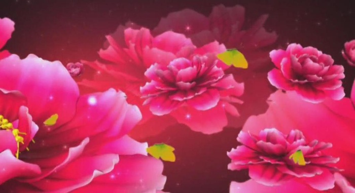 大红花朵LED背景