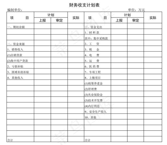 财务收支计划表