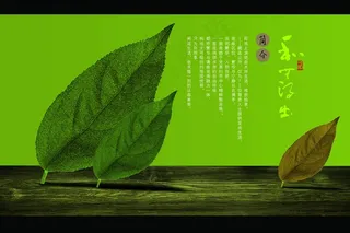 树木树叶简洁创意宣传设计海报