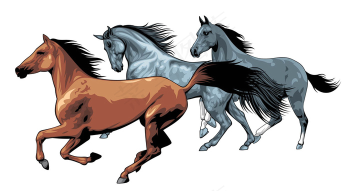 奔腾04矢量素材