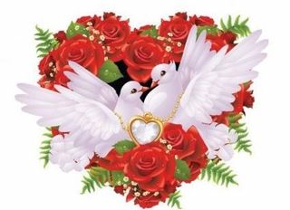 玫瑰和鸽子矢量插画