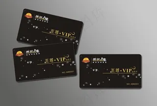 雅致人生 vip卡图片