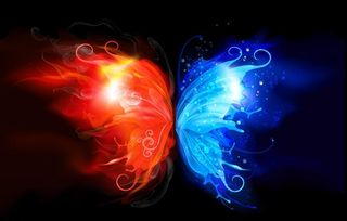 动感水火蝴蝶图片