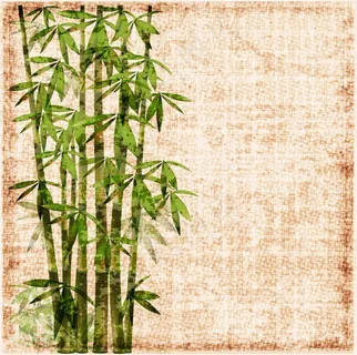 竹叶竹子背景矢量图3