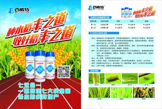 种水稻丰之稻收好稻丰之稻