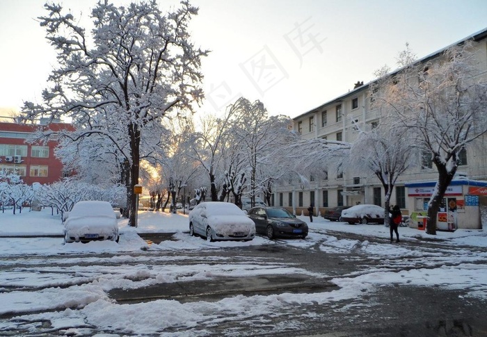 春雪图片