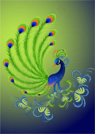 个性花纹孔雀