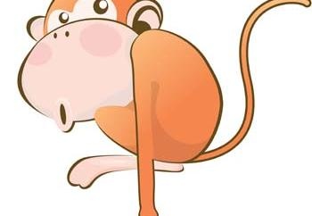 猴23ai矢量模版下载