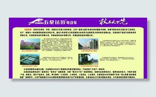 五星钻豹电动车图片