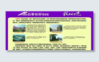 五星钻豹电动车图片