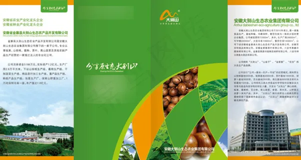 蜂蜜宣传折页设计