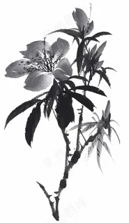 水墨喇叭花 水墨喇叭花