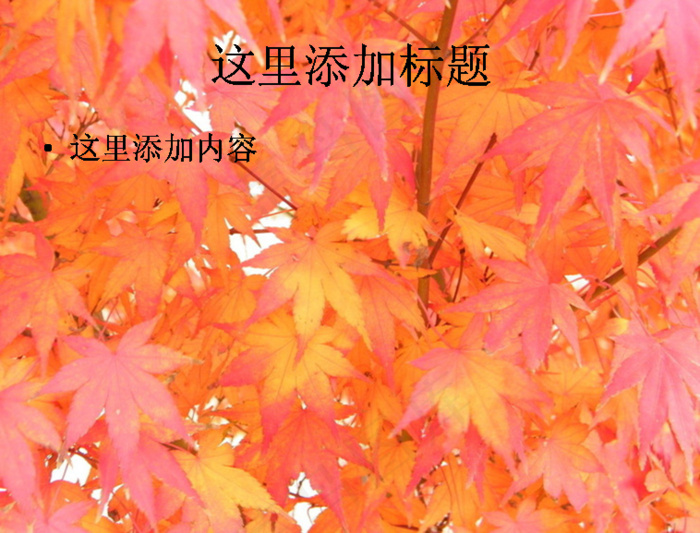 电脑高清ppt封面自然风景背景图...