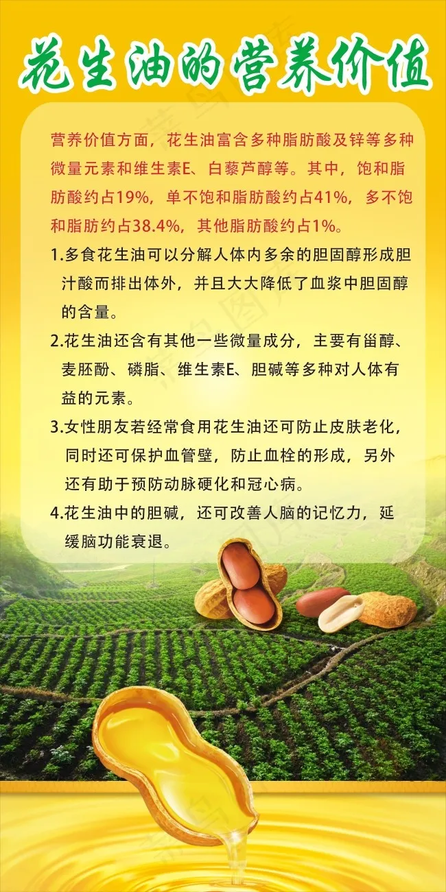 花生油 背景 海报cdr矢量模版下载