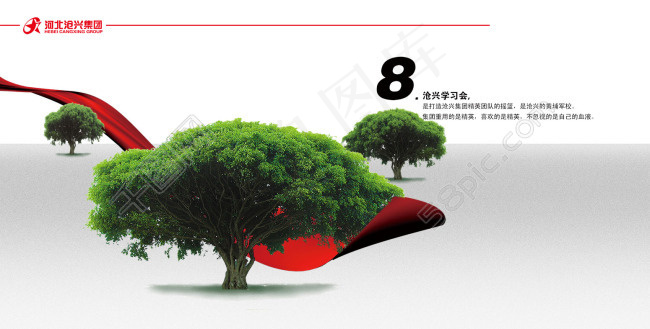 沧兴宣传画册学习会