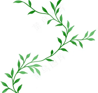 树叶 树叶