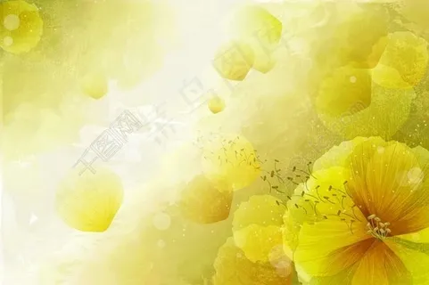 花朵花瓣渐变黄色大自然清新高清大图背景