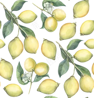 手绘柠檬水彩画
