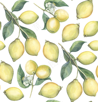 手绘柠檬水彩画