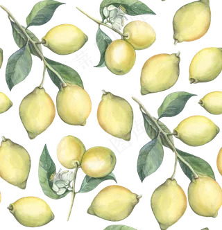 手绘柠檬水彩画
