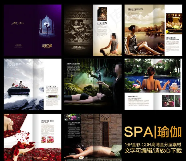 SPA项目手册(326X291)cdr矢量模版下载