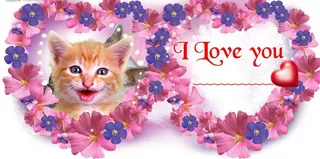 照片模板情人节心相印系列玫瑰边框图...