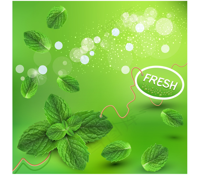 璀璨绿色矢量素材下载