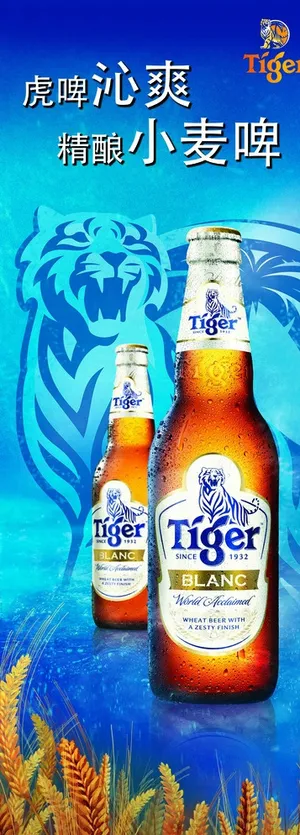 虎牌沁爽啤酒广告图片