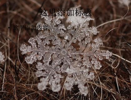 单反微距下的雪花唯美电脑ppt封...