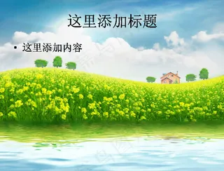 油菜花主题高清PPT模板范文-3...