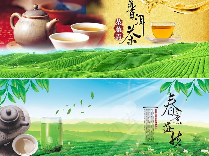 茶园风光图片(5884X4741(DPI:300))psd模版下载
