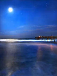 海岸夜色图片 海岸夜色图片
