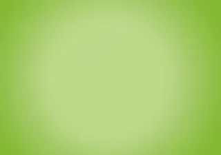 西方名著-昆虫记小报卡通手抄报模板