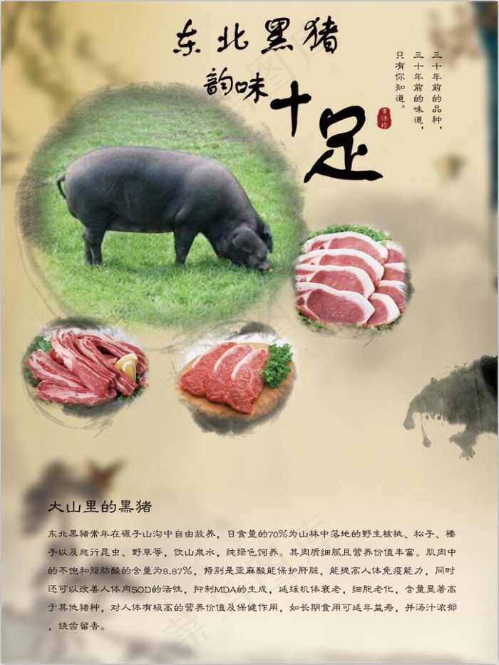 东北黑猪(3543X4724(DPI:150))psd模版下载