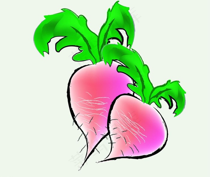 萝卜图片