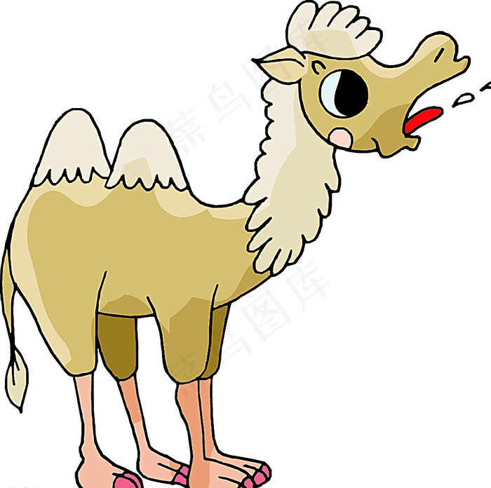 骆驼图片