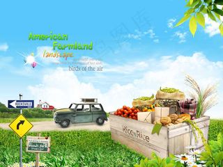 草地上的纸箱和汽车