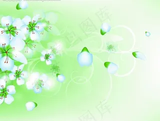 春天白色小花图片