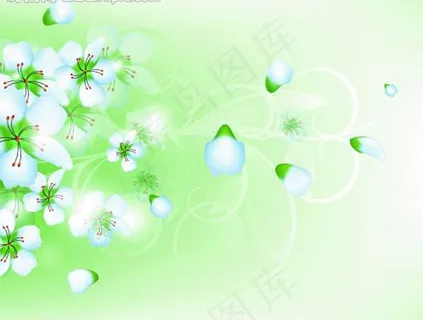 春天白色小花图片 春天白色小花图片