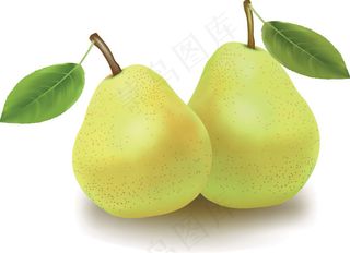 逼真的水果矢量素材