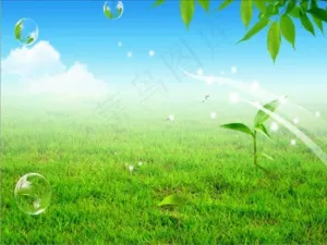 绿色清新草地绿叶PPT模板
