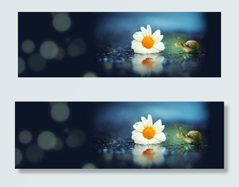 高清炫彩花卉banner背景　